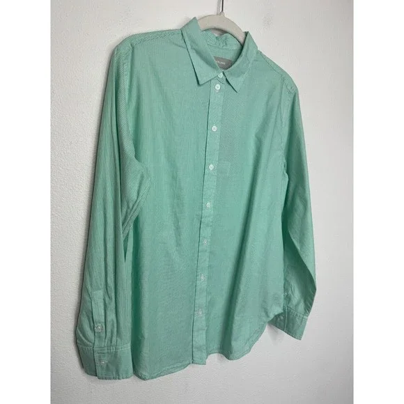 Everlane Size 4 Button Down Pinstripe Shirt Mint Green Oversized Cotton NWT - Picture 2 of 10